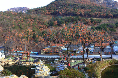 威海后花园——里口山王家疃村